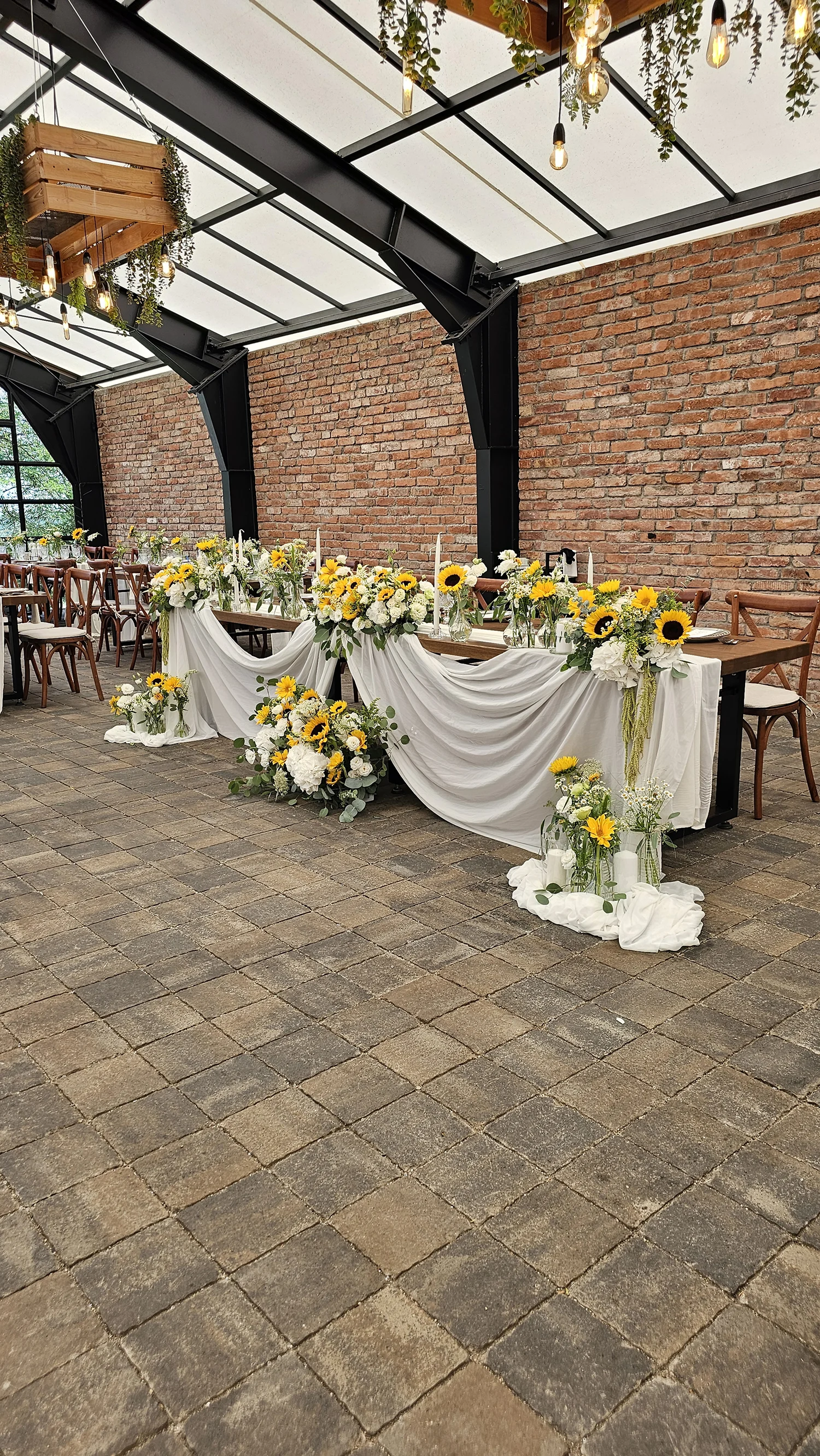 Sunflower Glow  Summer Romance