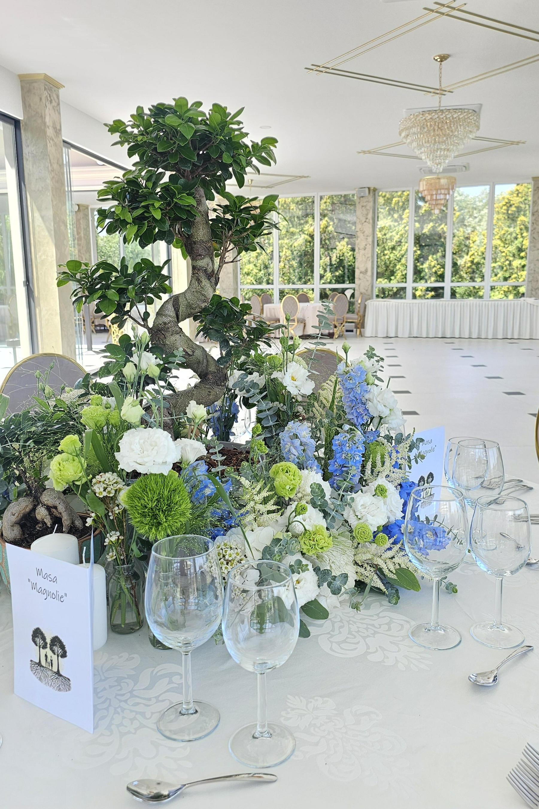 Nunta & Botez Rădăcini vii 